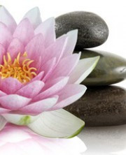 Délicatesse Beauté