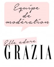 Equipe de modération