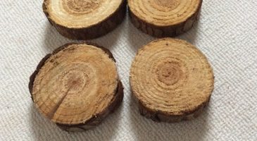 3 idées pour décorer sa table de Noel façon bucheron - %%sitename%%