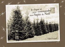 Un sapin, vite fait... bien fait !