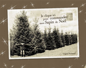 Acheter-son-sapin-en-ligne
