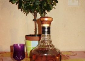 Alcool de fruit au prune sauvage - %%sitename%%