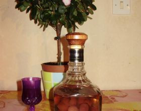 Alcool-de-fruit-au-prune-sauvage