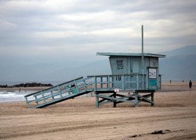 "Alerte à Malibu", que sont-ils devenus ?