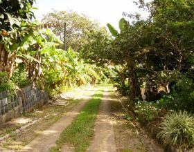 Bouchees-creoles-par-Choubidoune