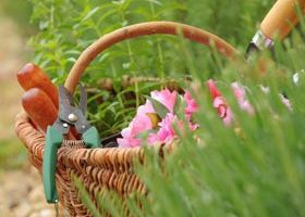Dimanche 15 juin : "Maison, jardins, bricolage : du rêve à tou - %%sitename%%