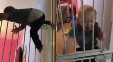 Ce petit garçon est le champion de l'évasion par escalade !