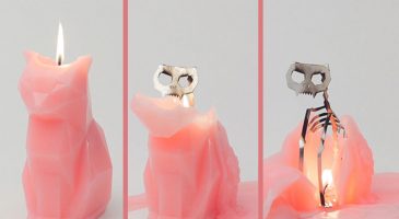 Ces bougies révèlent le squelette de leur animal quand elles f - %%sitename%%
