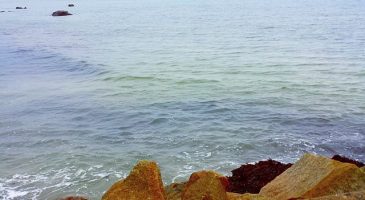 Ces endroits où je rêve de vivre