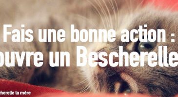 Ces fautes d'orthographe qui me font de la peine...