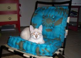 Chaise deco enfant - %%sitename%%