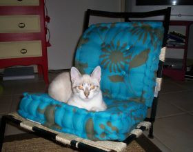 Chaise-deco-enfant-par-Champis