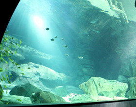 Cineaqua