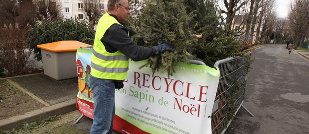 Comment-recycler-votre-sapin-de-Noel