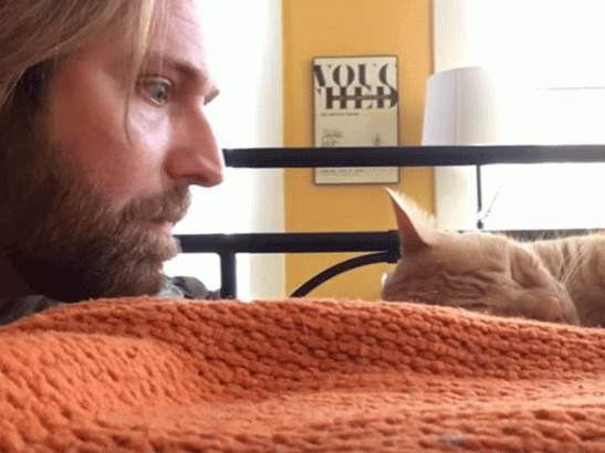 Comment-se-venger-de-son-chat-Il-a-trouve-la-reponse