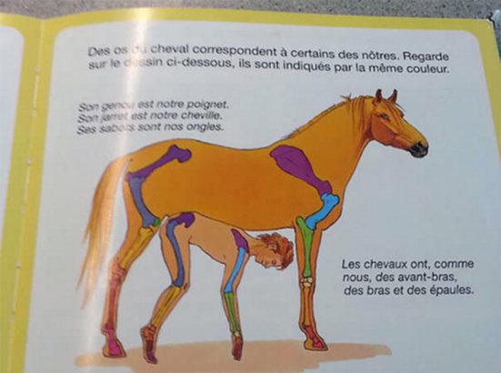 Des-livres-pour-enfants-a-connotation-franchement-sexuelle