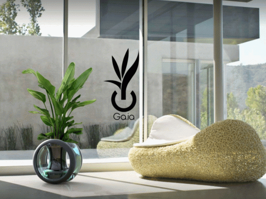 Des-plantes-autonomes-c-est-pour-bientot