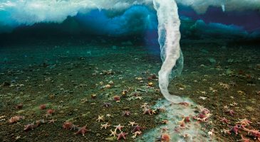 Du jamais vu : fantastique formation d'une stalactite de glace