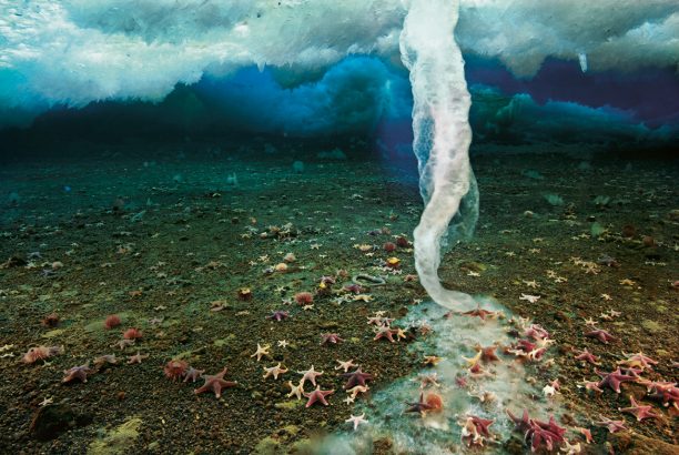 Du-jamais-vu-fantastique-formation-d-une-stalactite-de-glace