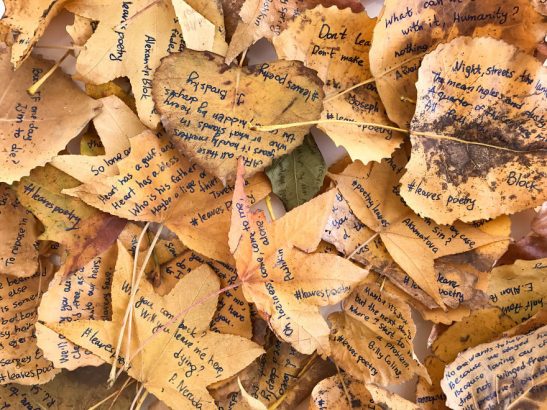 Elle-a-ecrit-sur-des-feuilles-et-les-a-dispersees-dans-Manhattan.