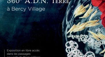 Exposition Mathilde de l'Ecotais, 360° ADN Terre