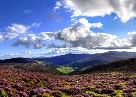 Irlande... laissez-vous emporter - %%sitename%%