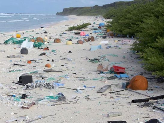 L-Ile-Henderson-une-ile-deserte-couverte-de-dechets-plastiques