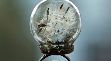 La magie des bagues globe... Un petit monde dans une bulle de - %%sitename%%
