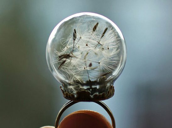 La-magie-des-bagues-globe-Un-petit-monde-dans-une-bulle-de-verre