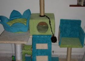 Une tour pour chats - %%sitename%%
