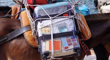 La valise transparente qui n'a rien à cacher - %%sitename%%