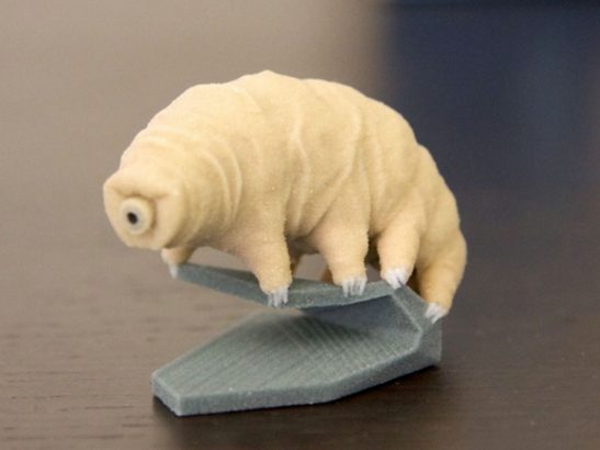Le-micro-monde-fantastique-des-tardigrades