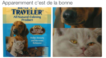 Les tweets qui m'ont faire rire cette semaine #44 - %%sitename%%