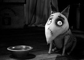 Mes 3 bonnes raisons de voir Frankenweenie de Tim Burton