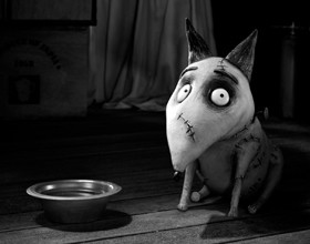 Mes-3-bonnes-raisons-de-voir-Frankenweenie-de-Tim-Burton