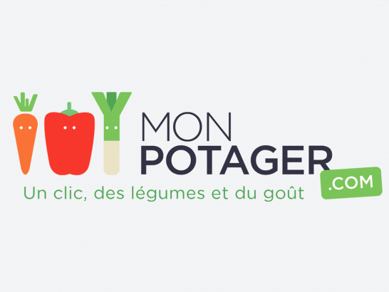 Mon-potager-jardin-pour-citadins