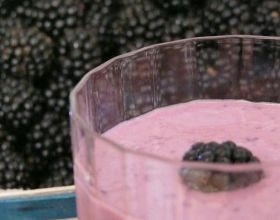 Mousse-onctueuse-de-mures-par-Marieandco