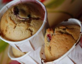 Muffins-aux-quetsches-par-Karine0908