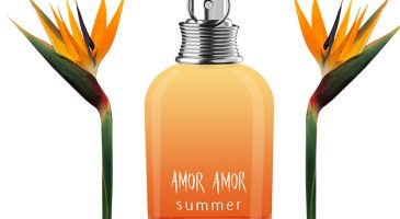 Notre histoire d'amour avec le parfum Amor Amor Summer
