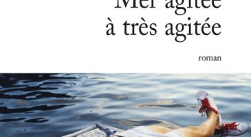 On en pense quoi de Mer agitée à très agitée ?