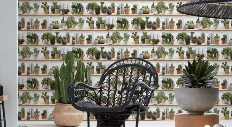 Tendance : sélection de papiers peints Cactus