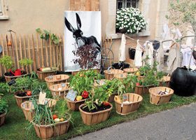4 Solutions pour créer mon mini - potager Un mini potager pour - %%sitename%%