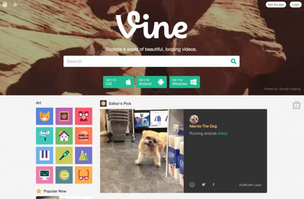 Pourquoi-j-aime-Vine