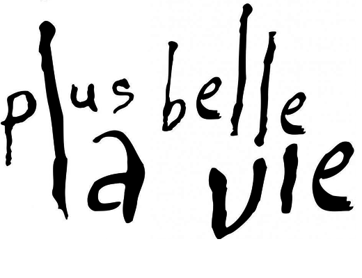 Pourquoi-je-defends-plus-belle-la-vie-dans-les-diners-mondains