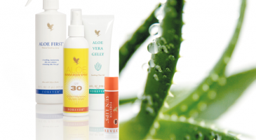 Préservez votre capital soleil grâce à l'aloe vera ! - %%sitename%%