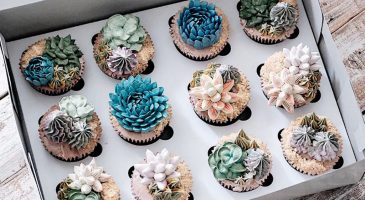 Quand les succulentes deviennent délicieuses ! - %%sitename%%