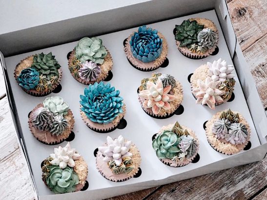 Quand-les-succulentes-deviennent-delicieuses