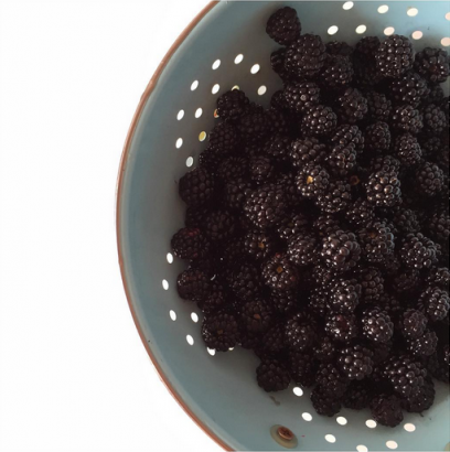 Recette-de-la-tarte-aux-mures-sauvages