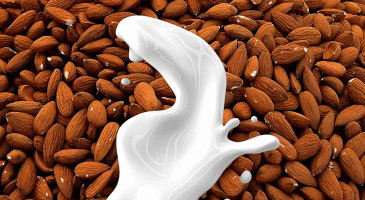Recette : un lait d’amande home made ! - %%sitename%%