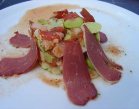 Salade-de-feves-a-la-tomate-et-magret-de-canard-par-Lia022
